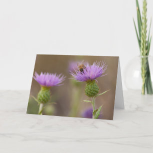 Tarjeta Abeja Ocupada en Foto de Cardo Púrpura Felicidades