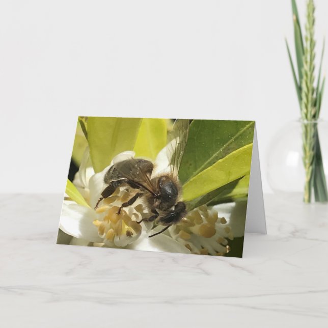 Tarjeta Abeja por la flor Naranja (Anverso)