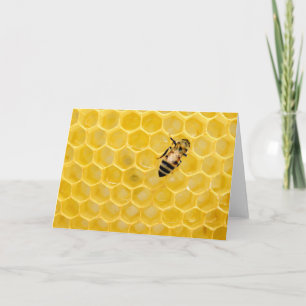 Tarjeta abeja y abeja