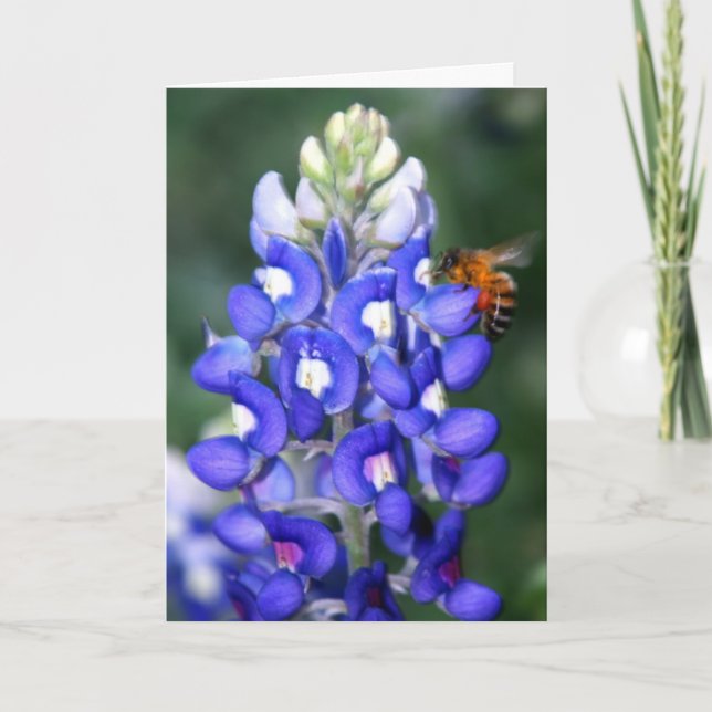Tarjeta Abeja y Bluebonnet (Anverso)