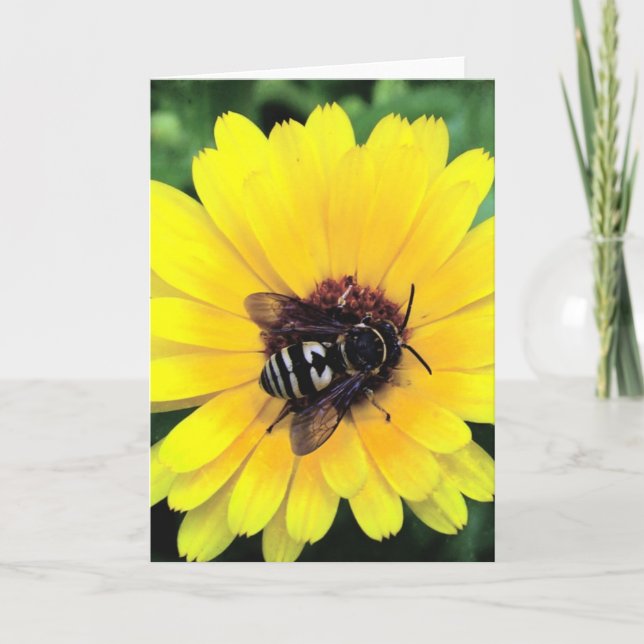 Tarjeta Abeja y flor amarilla (Anverso)