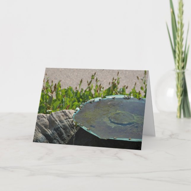 Tarjeta Abejas beis, Phoenix, Arizona (Anverso)