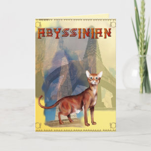 Tarjeta abisinia del gato