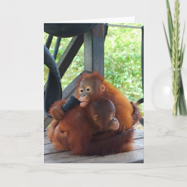 Tarjeta Abrazos de animales Bebé de Orangutan (Anverso)