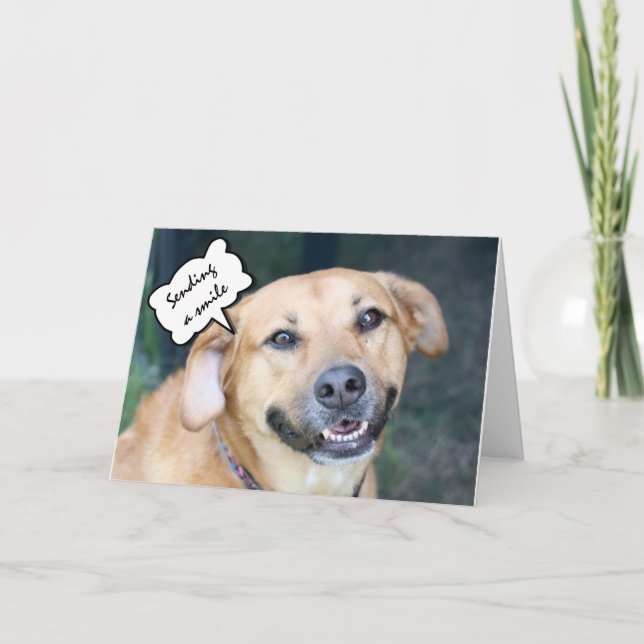 Tarjeta Abrazos de cumpleaños, besos y sonrisas de perro s (Anverso)