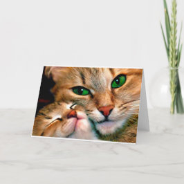 Tarjeta Abrazos del gato