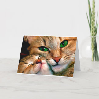 Tarjeta Abrazos del gato