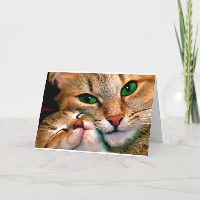 Tarjeta Abrazos del gato (Anverso)