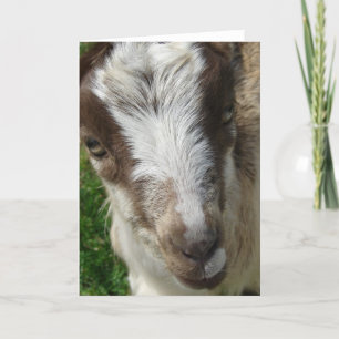 Tarjeta Abril, niñera de La Mancha