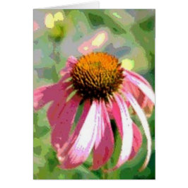 Tarjeta abstracta de Echinacea