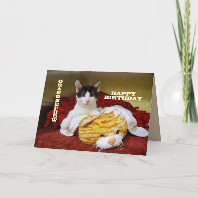 Tarjeta Abuelo sobrino feliz cumpleaños gatito con juguete (Anverso)