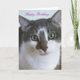 Tarjeta Abundante Gris y Gato Blanco Cumpleaños
