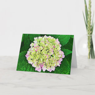 Tarjeta Abundante Hydrangea Scripture Card 1 Timothy 1:14