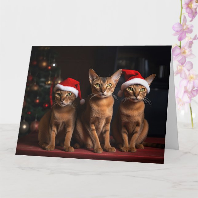 Tarjeta Abysiniano por los Navidades de la chimenea (Orquídea)