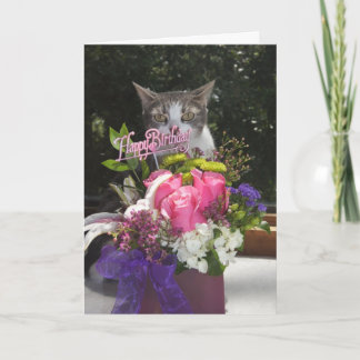 Tarjeta Acabo de ir de compras en el cumpleaños del gato