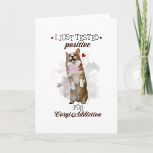 Tarjeta Acabo De Probar Positivo Para Perros De Adicción C
