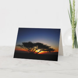 Tarjeta Acacia solitaria en el furioso amanecer rojo, en b
