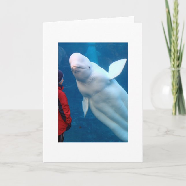 Tarjeta Acaricie los momentos mágicos (Anverso)