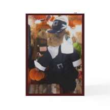 tarjeta - acción de gracias feliz