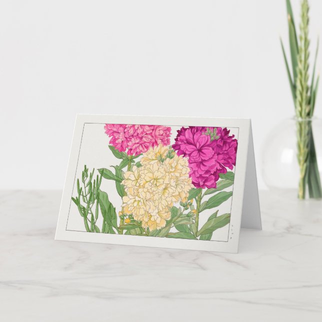 Tarjeta Acciones de Tanigami Konan (Anverso)