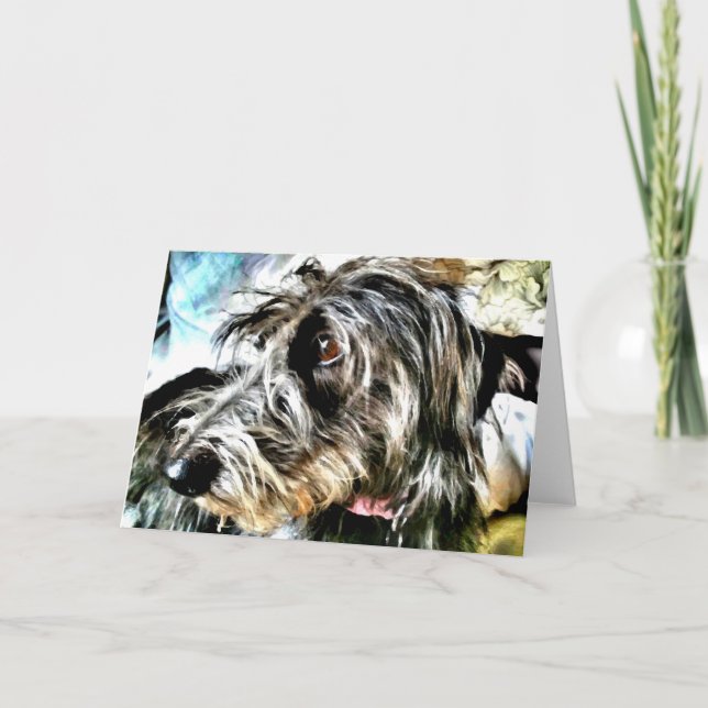 Tarjeta Acechador gris hermoso (Anverso)