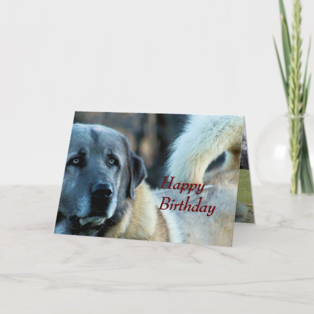 Tarjeta Achai Birthday Card - personalizar en cualquier oc (Anverso)