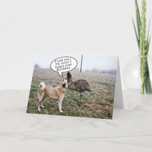 Tarjeta Achai & Emu