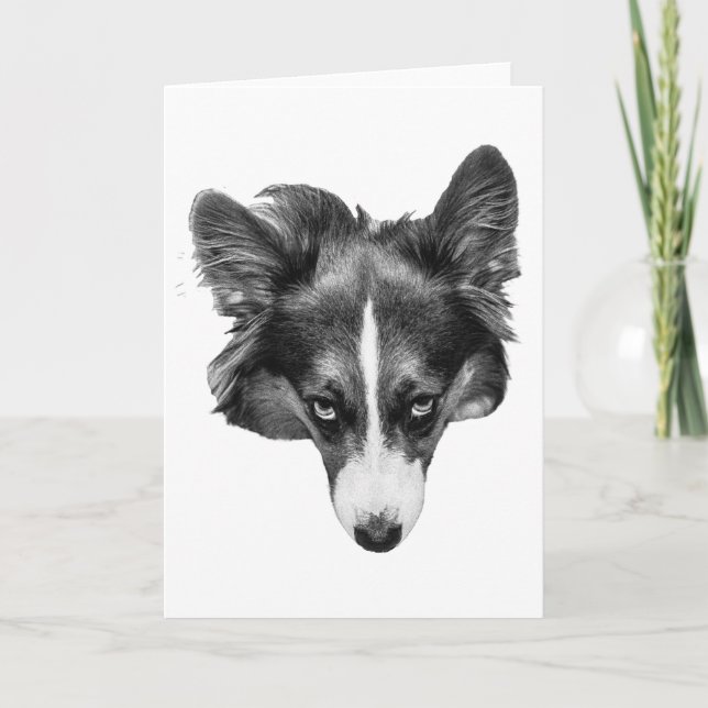 Tarjeta acompañante de silverlight (Anverso)