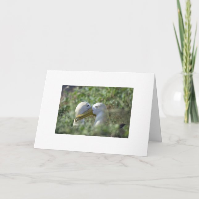 Tarjeta Acoplado para la vida (Anverso)