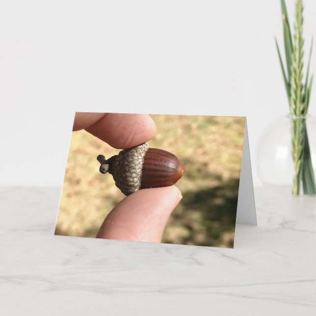 Tarjeta Acorn (Anverso)
