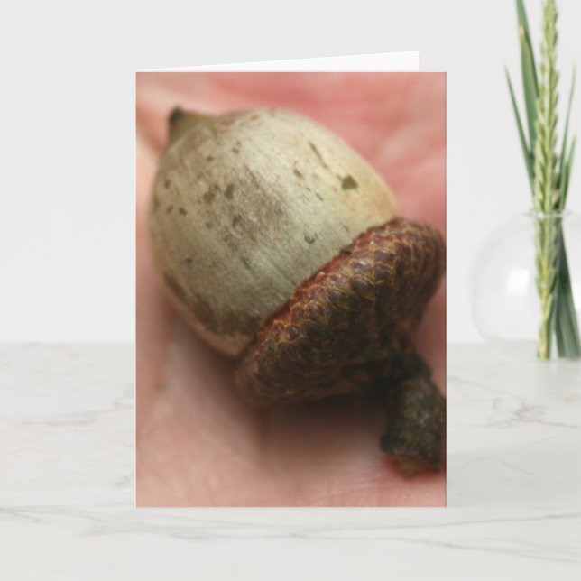TARJETA ACORN (Anverso)