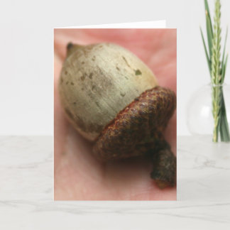 TARJETA ACORN
