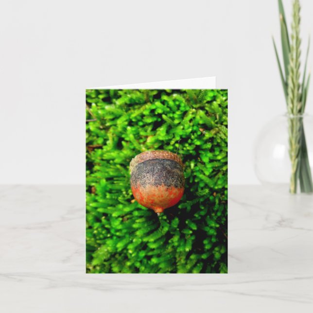 Tarjeta Acorn & Moss Notecard (Anverso)