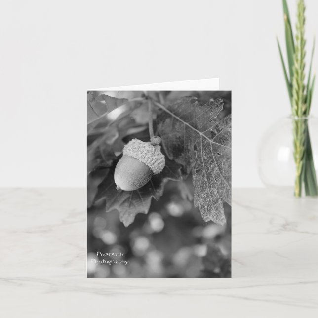 Tarjeta Acorn Note (Anverso)