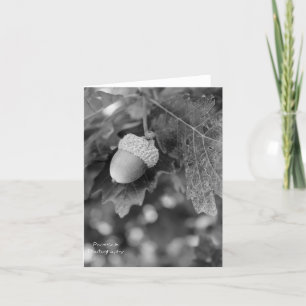 Tarjeta Acorn Note
