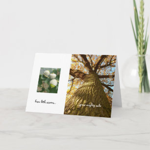 Tarjeta Acorns to Oaks