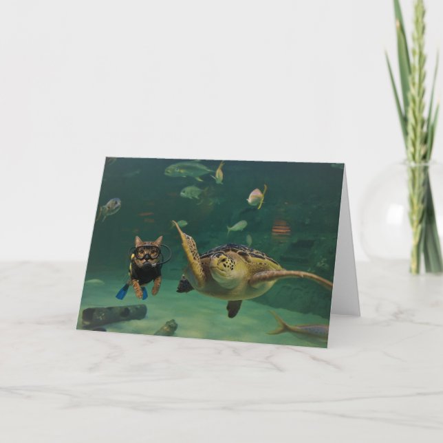 Tarjeta Action Cats! Card (Anverso)