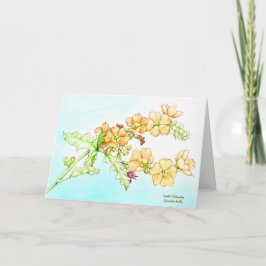 Tarjeta Acuarela botánica de la malva redonda de flor silv