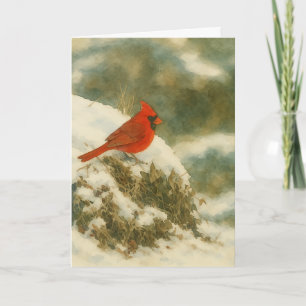 Tarjeta Acuarela cardinal de invierno_1