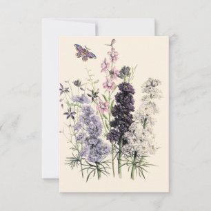 Tarjeta Acuarela flores de jardín moradas y rosas, maripos