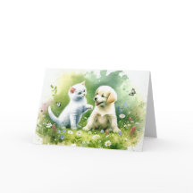 Acumulación acuática y cumpleaños gatito