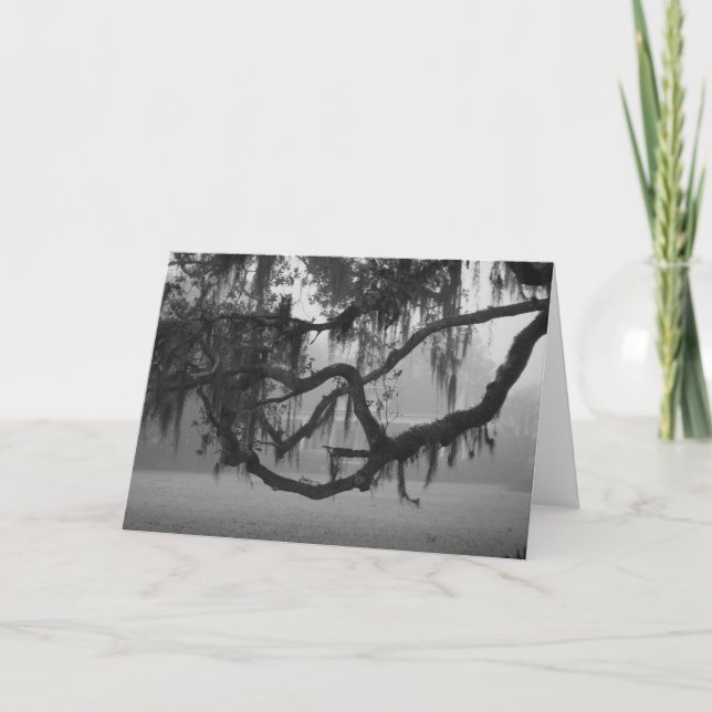 TARJETA ADDIS HOUSE (Anverso)