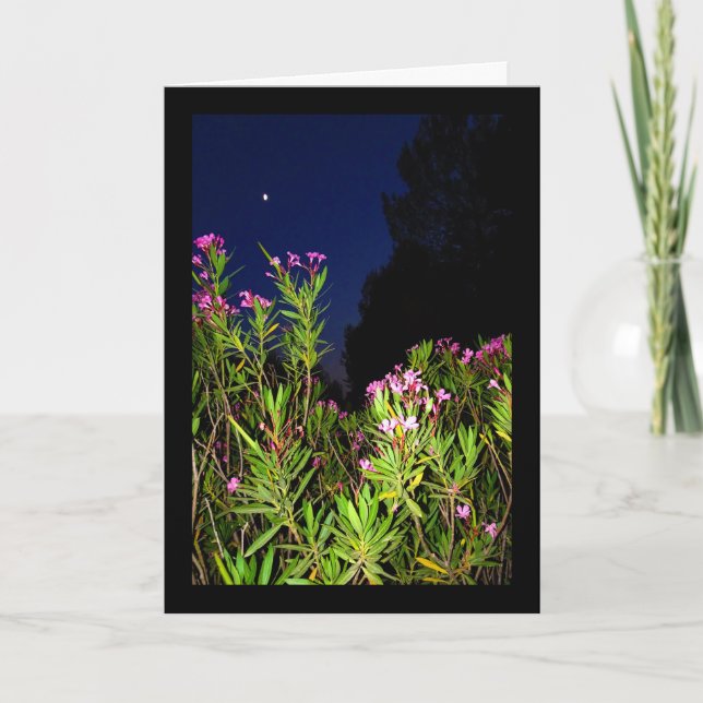 Tarjeta Adelfa Rosa por la Noche (Anverso)