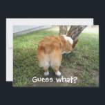 Tarjeta Adivina qué es lo que Corgi Butt Funny Perg Lover<br><div class="desc">Una graciosa tarjeta de corgi. Los adictos a los conejitos creerán que este chiste de corgi es hilarante. ¿Adivinan qué? Corgi pero. Una linda tarjeta de corgo para un amante del perro cumpleaños u otra ocasión.</div>