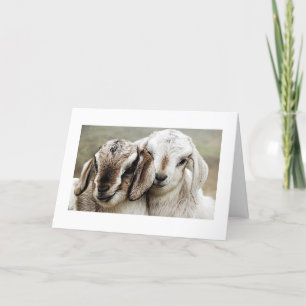 Tarjeta adopción, adopción, adopción, fotografía,