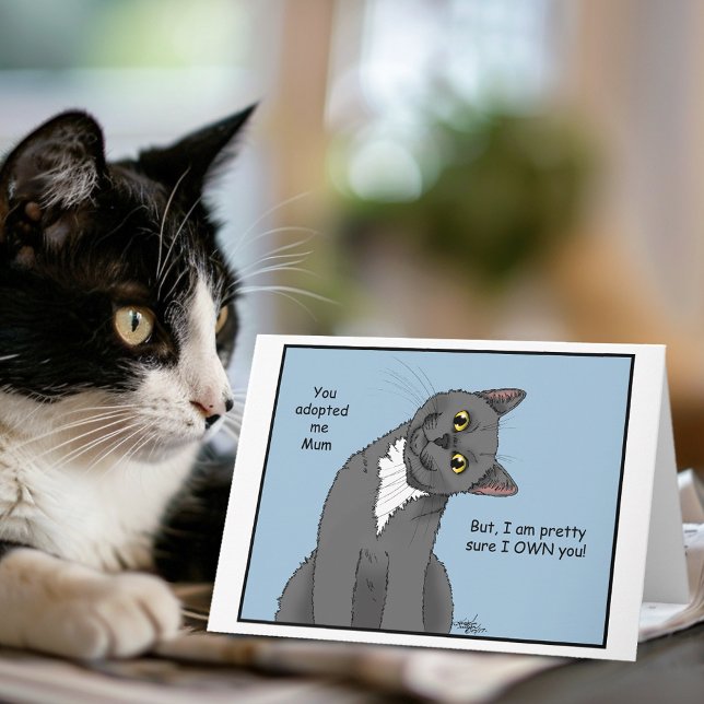 Tarjeta Adopción de Mamá de gato (Subido por el creador)