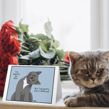 Adopción de Mamá Gata