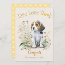 Adopción de perro Beagle, Día de Gotcha