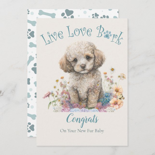 Tarjeta Adopción de Perro Caniche, Día Gotcha (Anverso / Reverso)