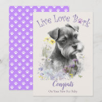 Adopción de Perro Schnauzer, Día de Gotcha